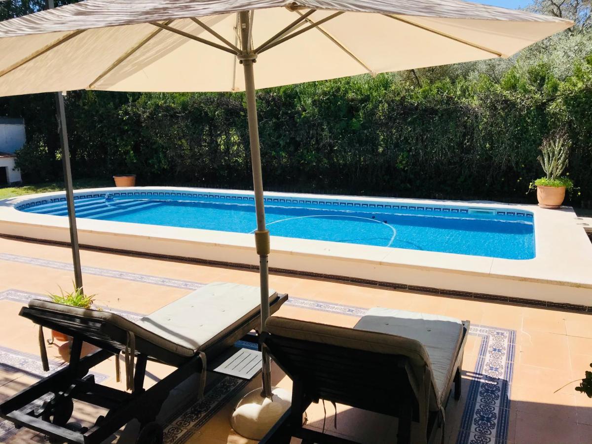 Villa Ferrer Sevilla Gines Ngoại thất bức ảnh