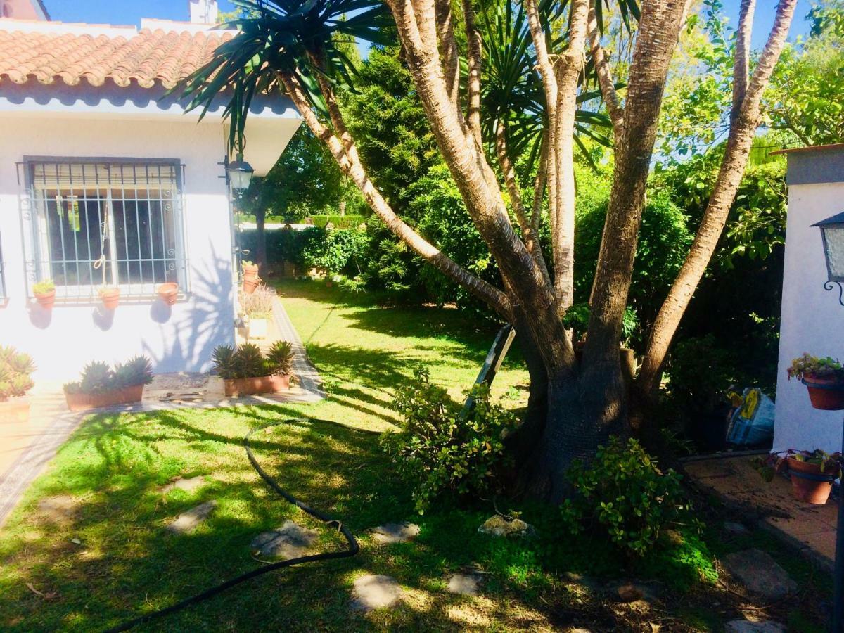 Villa Ferrer Sevilla Gines Ngoại thất bức ảnh