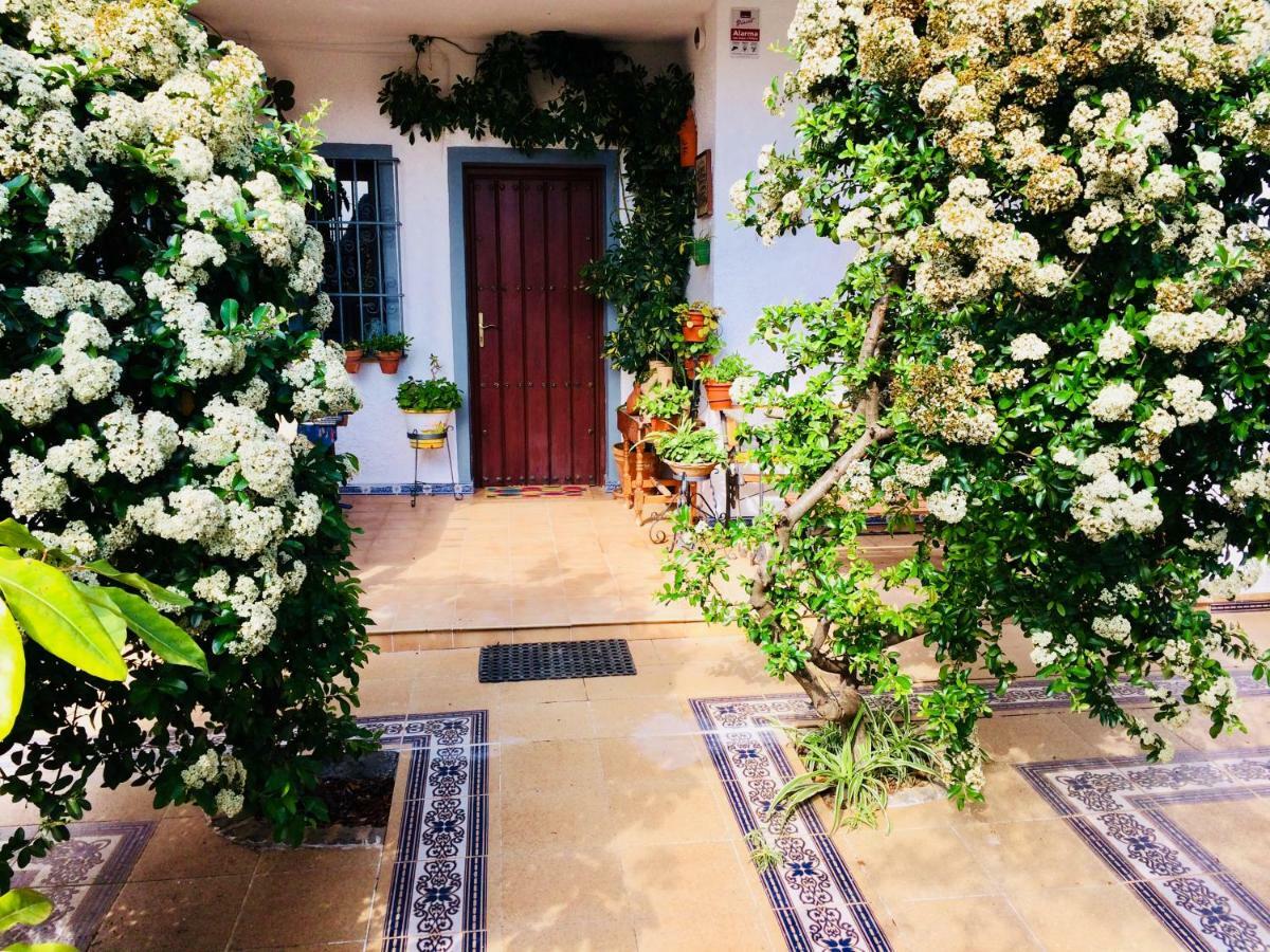 Villa Ferrer Sevilla Gines Ngoại thất bức ảnh