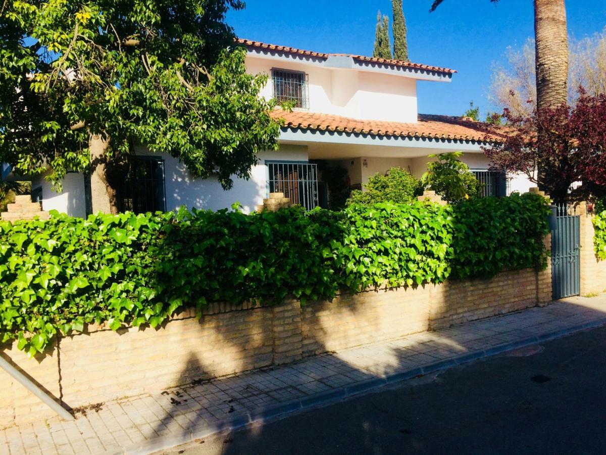 Villa Ferrer Sevilla Gines Ngoại thất bức ảnh