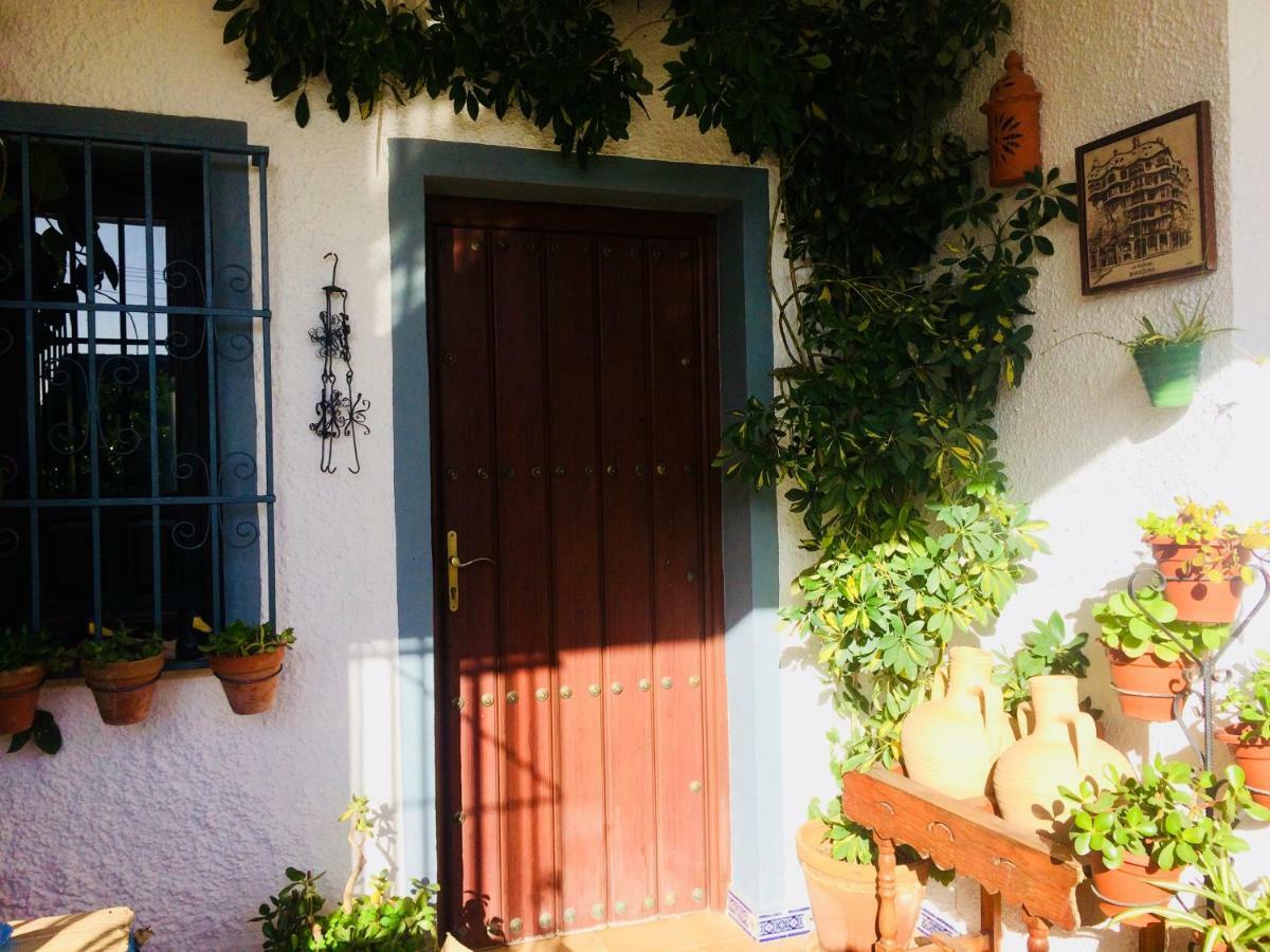 Villa Ferrer Sevilla Gines Ngoại thất bức ảnh